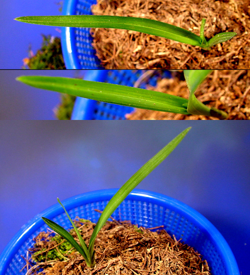 ������ ū������ �� �� �ֽ��ϴ�.