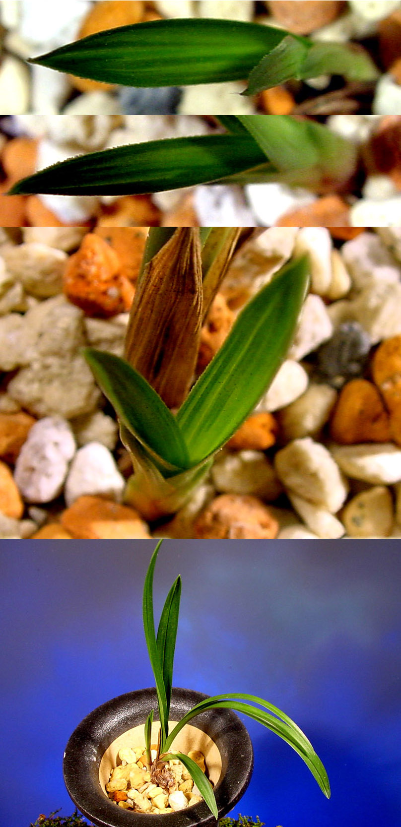 ������ ū������ �� �� �ֽ��ϴ�.