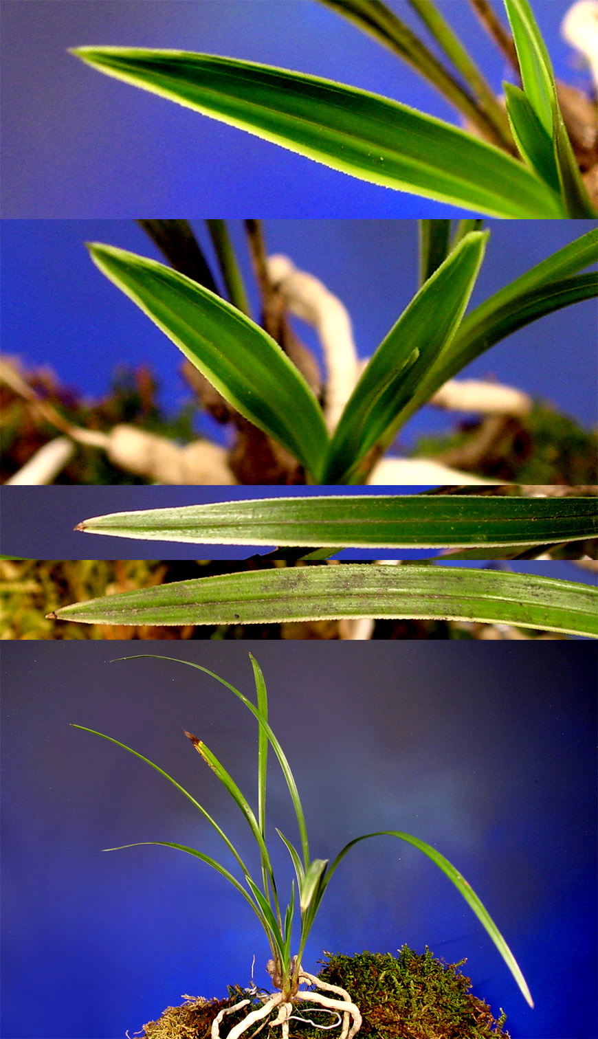 ������ ū������ �� �� �ֽ��ϴ�.