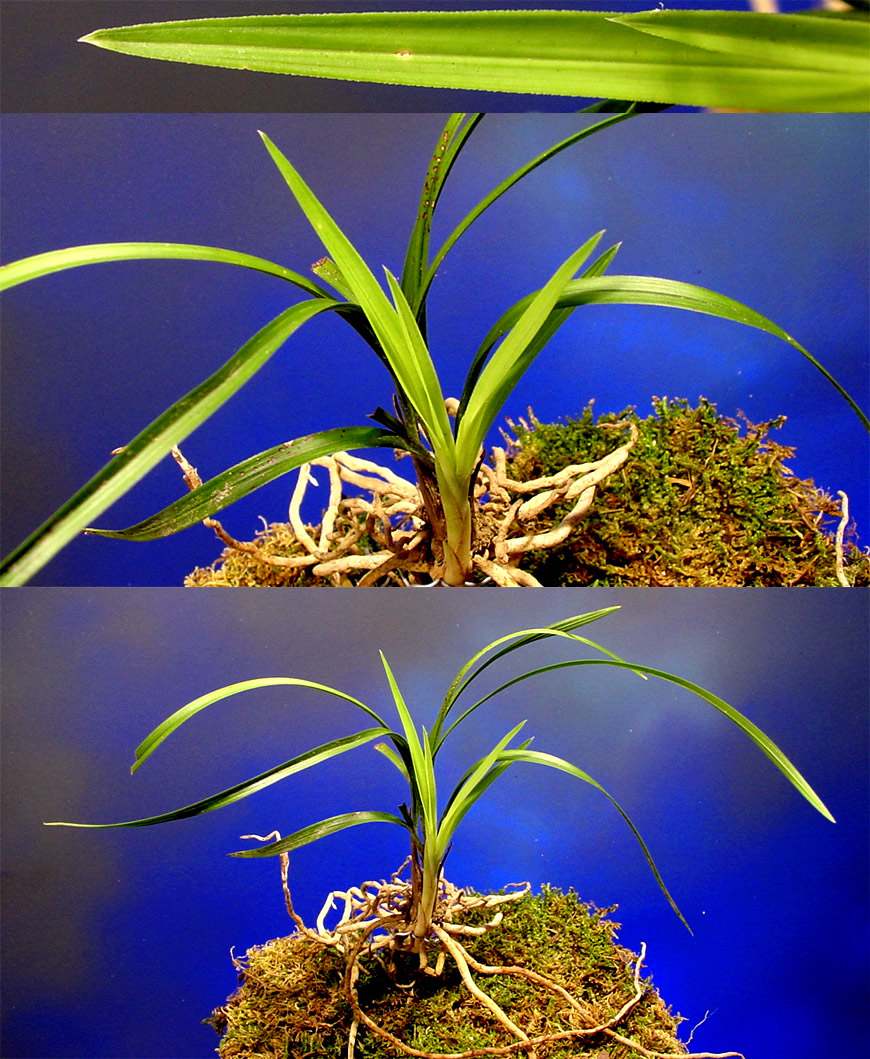 ������ ū������ �� �� �ֽ��ϴ�.