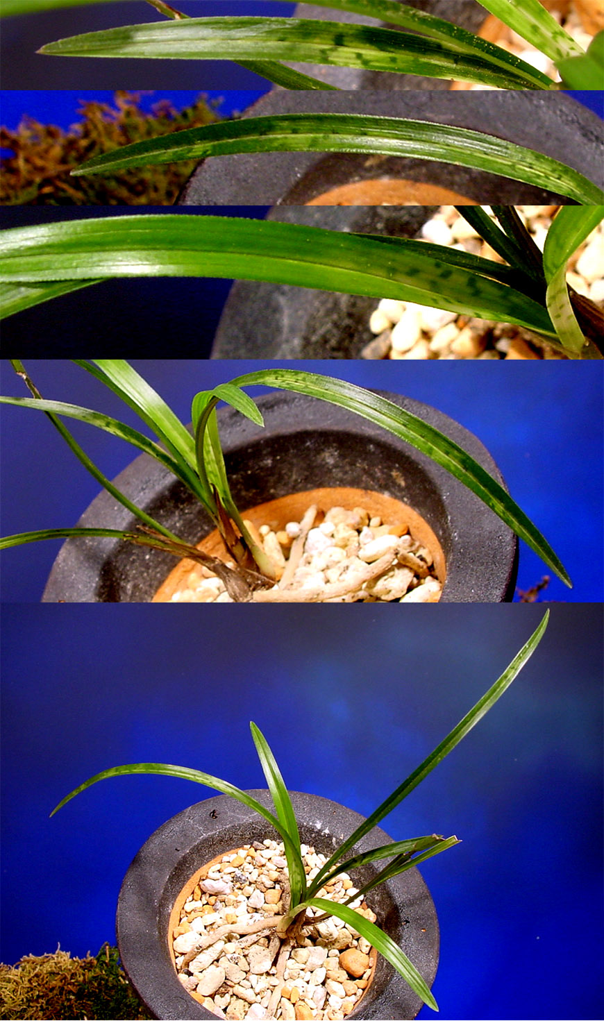 ������ ū������ �� �� �ֽ��ϴ�.