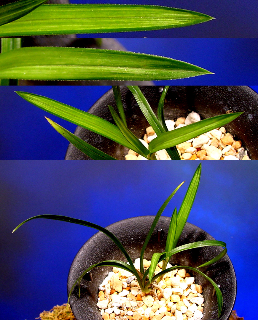 ������ ū������ �� �� �ֽ��ϴ�.