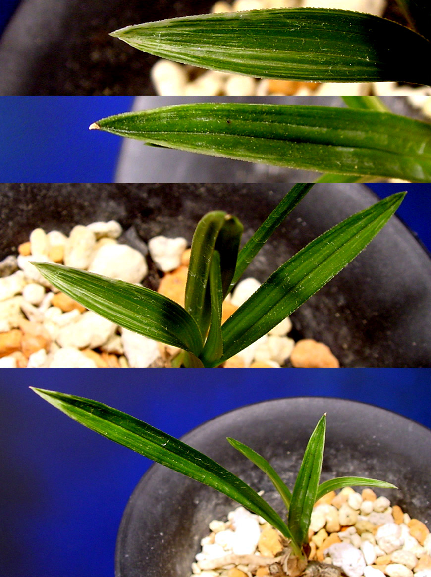 ������ ū������ �� �� �ֽ��ϴ�.