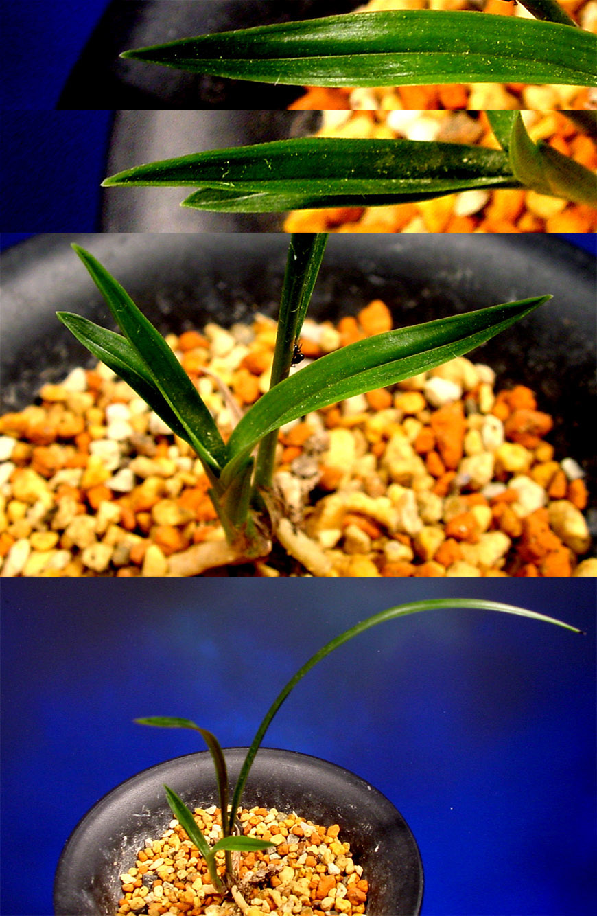 ������ ū������ �� �� �ֽ��ϴ�.