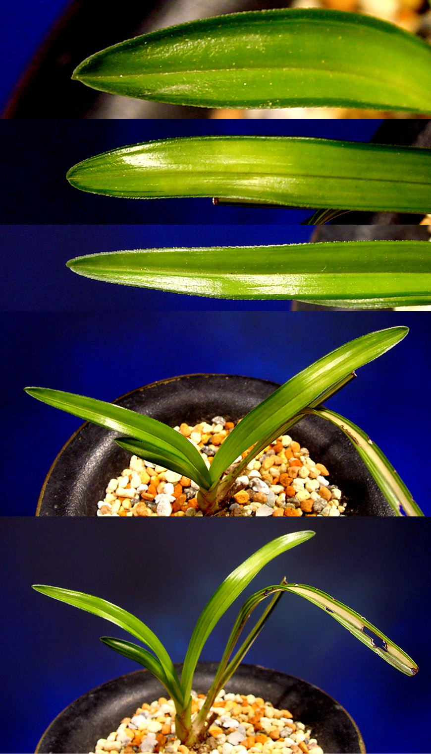 ������ ū������ �� �� �ֽ��ϴ�.