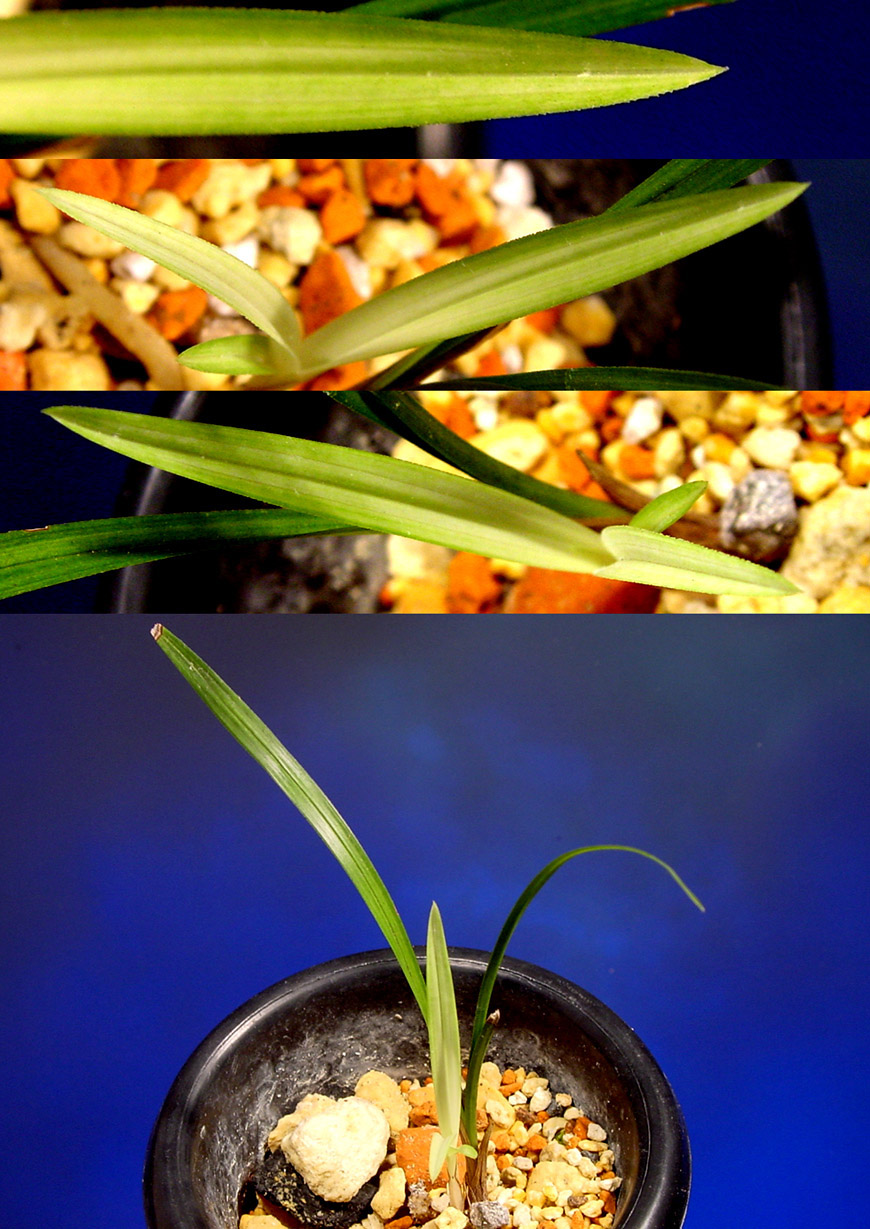 ������ ū������ �� �� �ֽ��ϴ�.