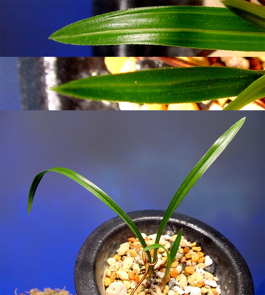 ������ ū������ �� �� �ֽ��ϴ�.