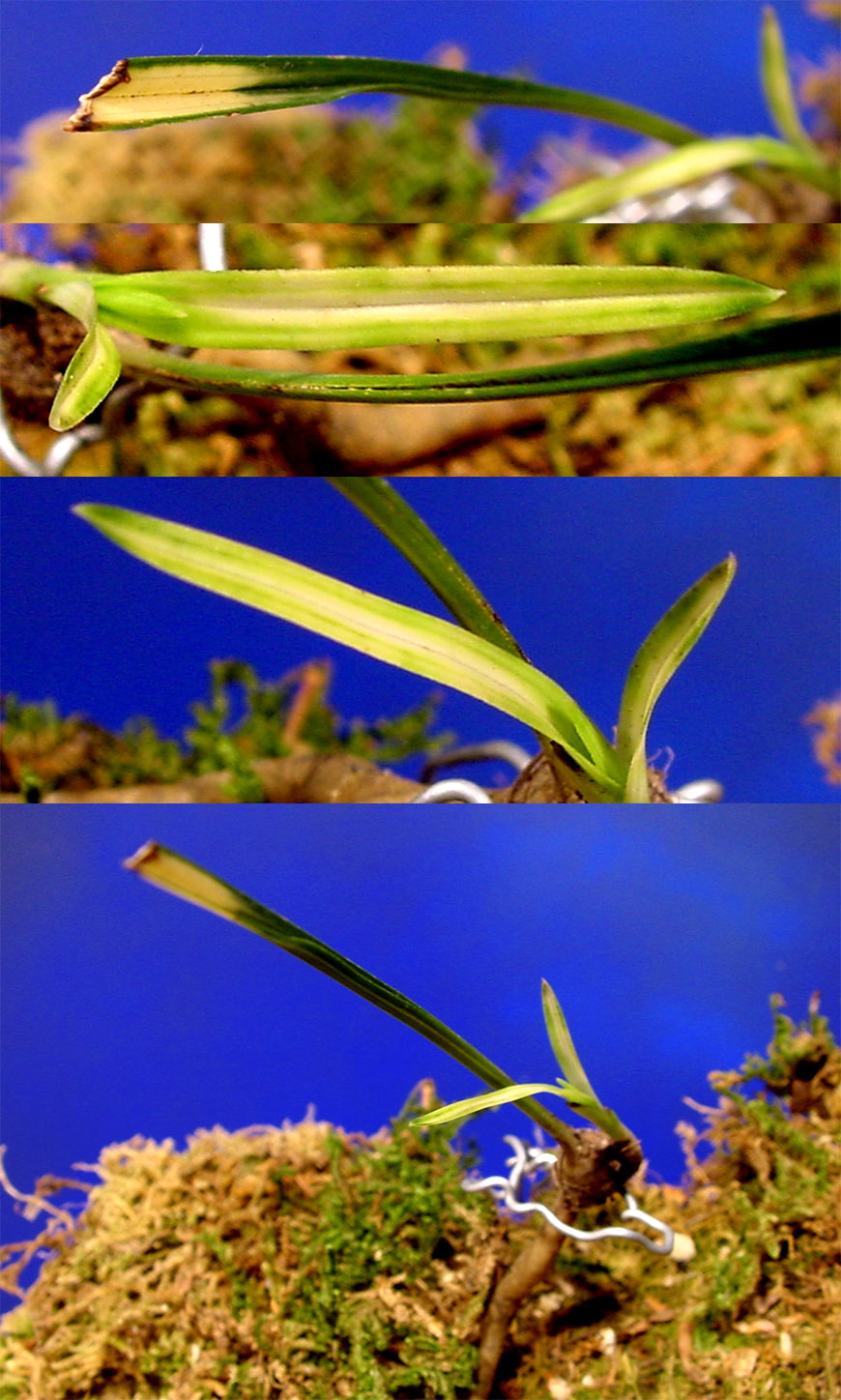 ������ ū������ �� �� �ֽ��ϴ�.