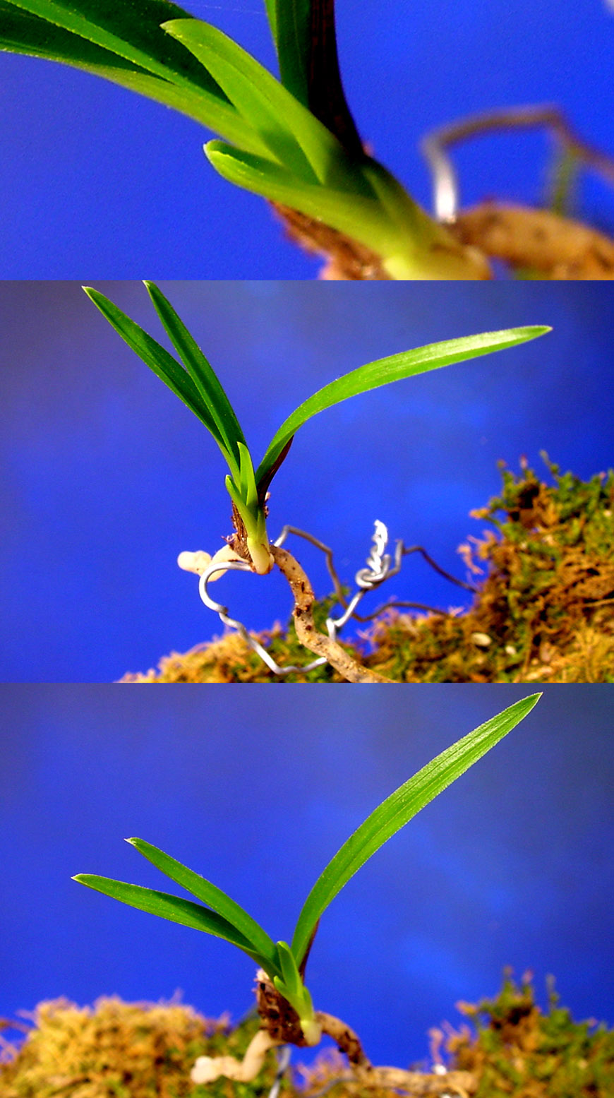 ������ ū������ �� �� �ֽ��ϴ�.