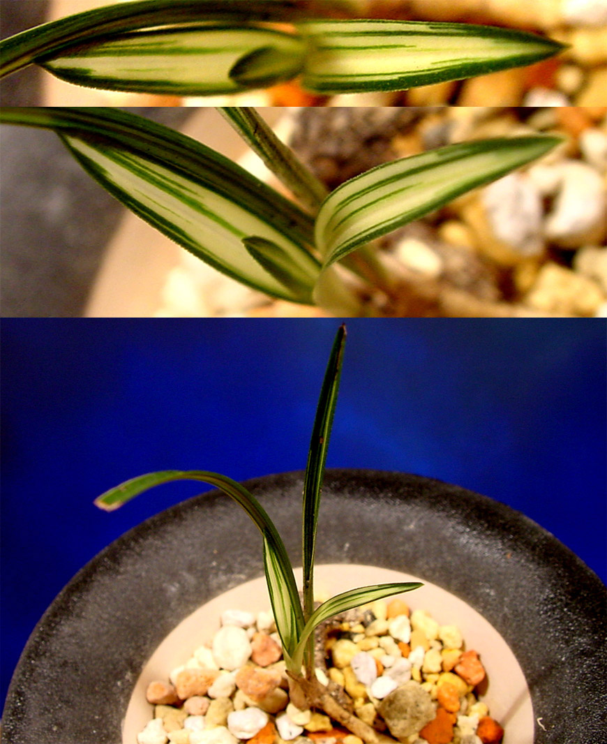 ������ ū������ �� �� �ֽ��ϴ�.