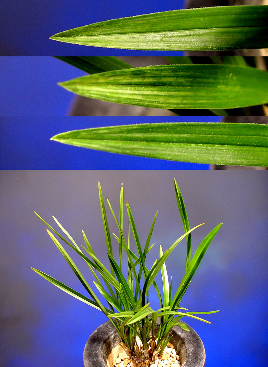 ������ ū������ �� �� �ֽ��ϴ�.