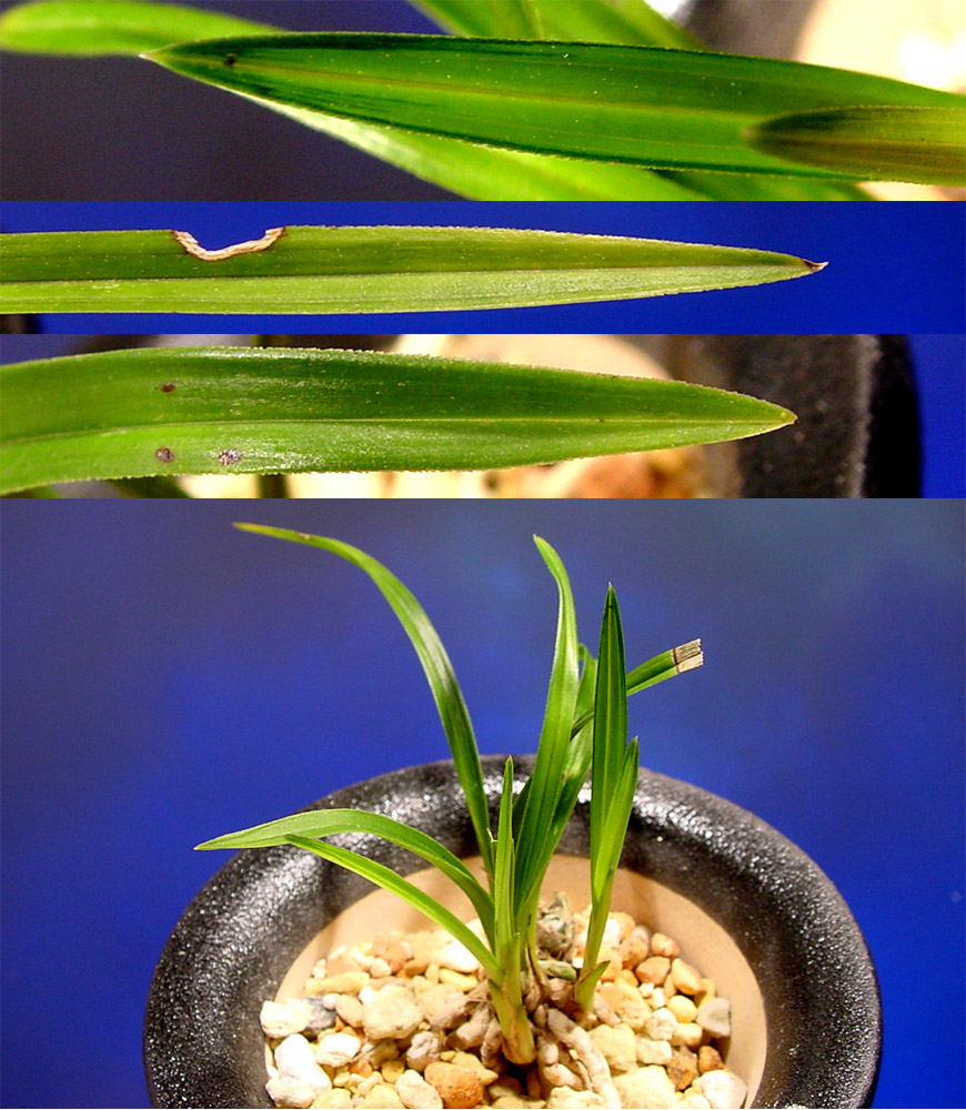 ������ ū������ �� �� �ֽ��ϴ�.