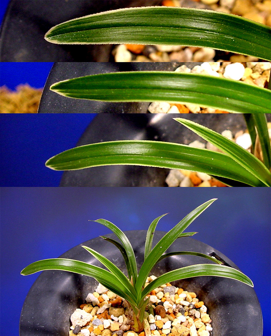 ������ ū������ �� �� �ֽ��ϴ�.