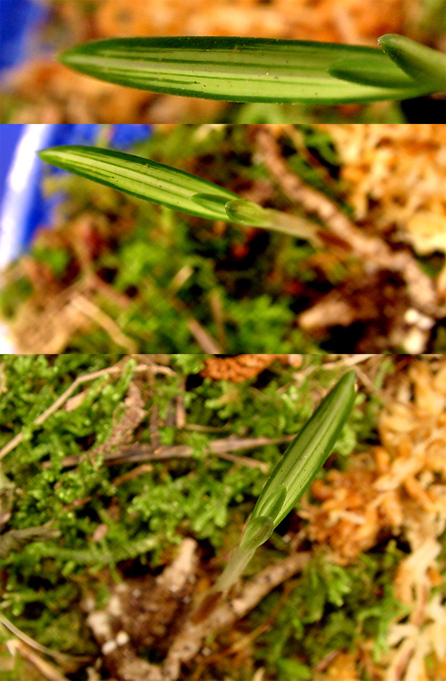 ������ ū������ �� �� �ֽ��ϴ�.