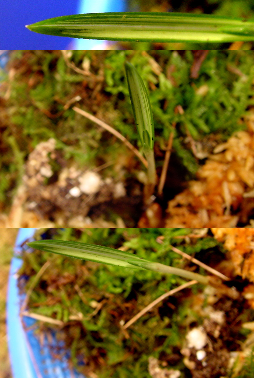 ������ ū������ �� �� �ֽ��ϴ�.