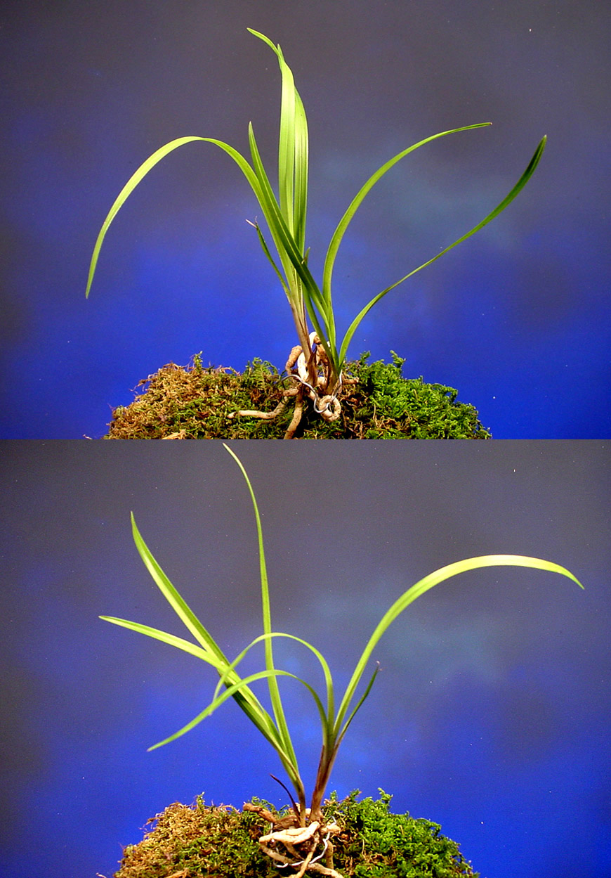 ������ ū������ �� �� �ֽ��ϴ�.