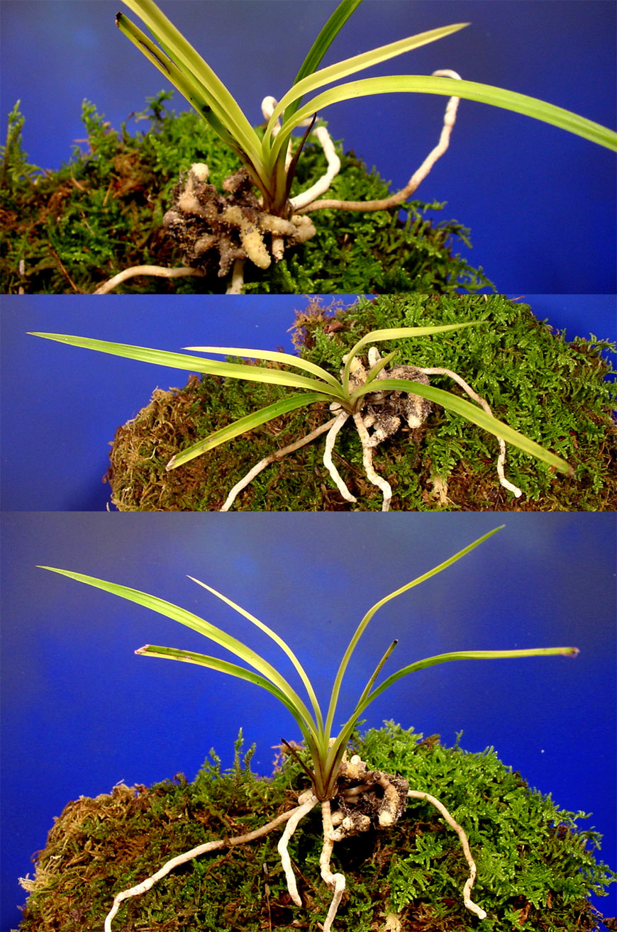 ������ ū������ �� �� �ֽ��ϴ�.