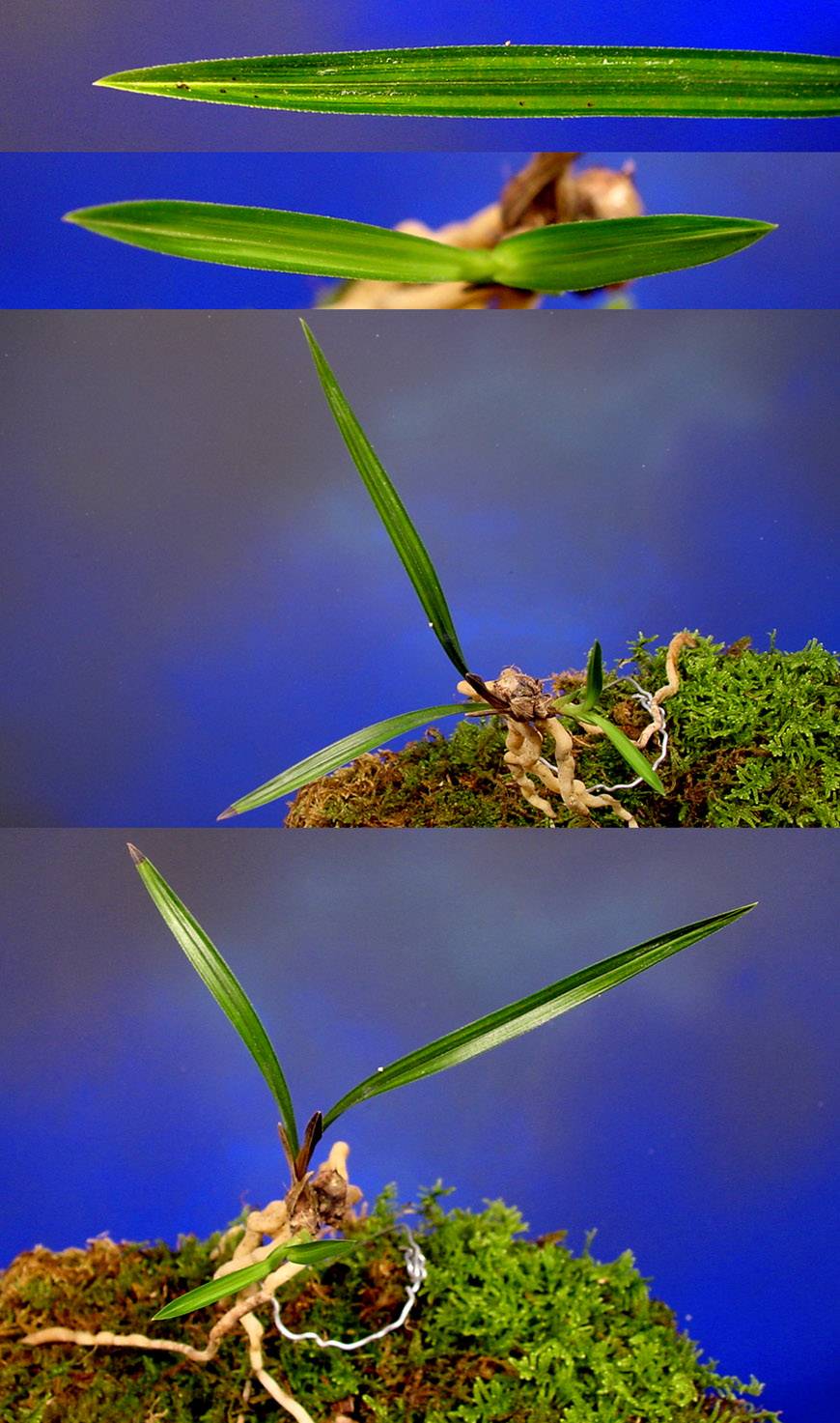 ������ ū������ �� �� �ֽ��ϴ�.