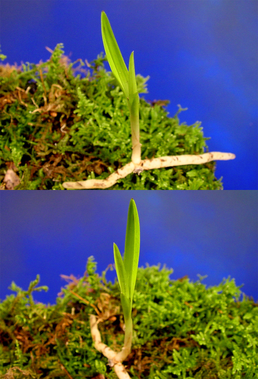 ������ ū������ �� �� �ֽ��ϴ�.