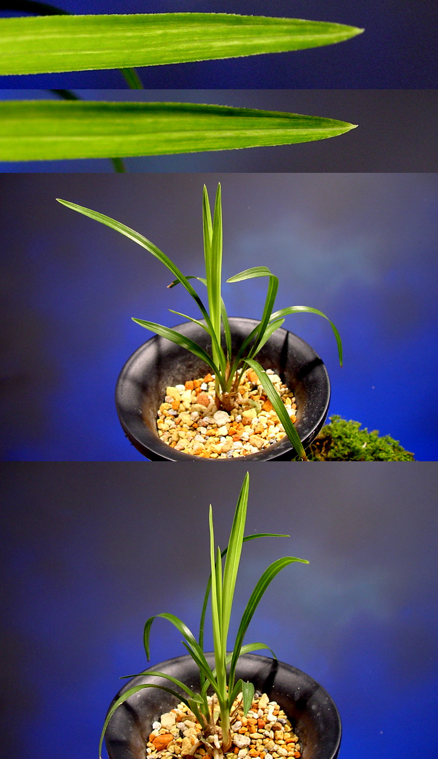 ������ ū������ �� �� �ֽ��ϴ�.