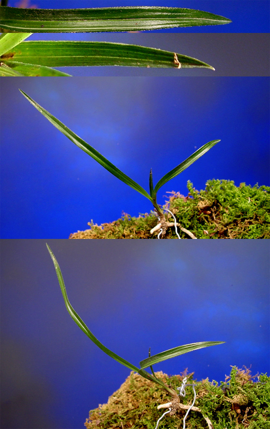 ������ ū������ �� �� �ֽ��ϴ�.