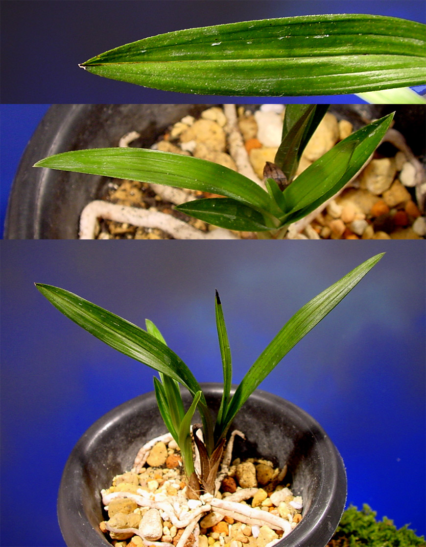 ������ ū������ �� �� �ֽ��ϴ�.