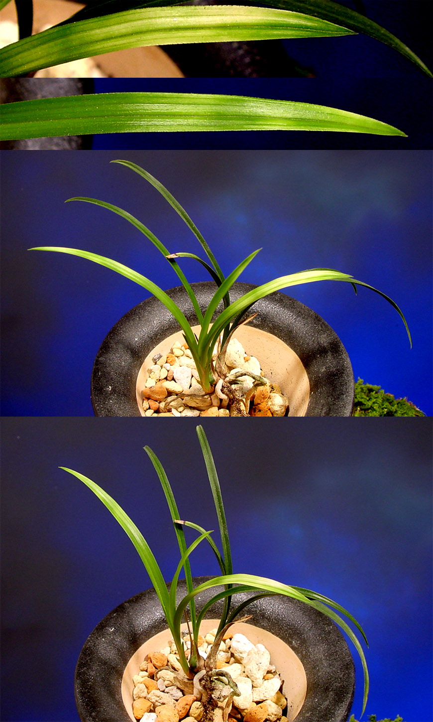 ������ ū������ �� �� �ֽ��ϴ�.