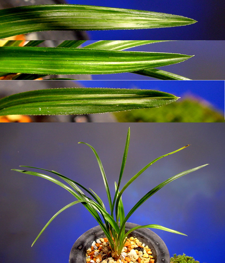 ������ ū������ �� �� �ֽ��ϴ�.