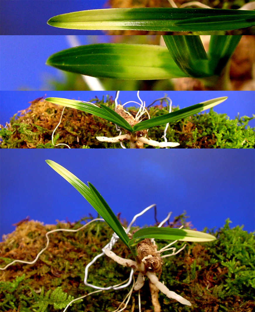 ������ ū������ �� �� �ֽ��ϴ�.