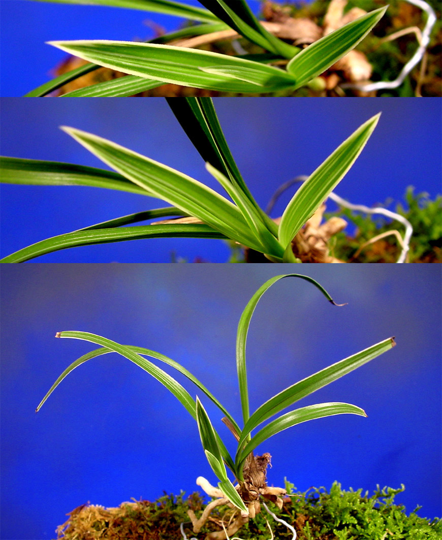 ������ ū������ �� �� �ֽ��ϴ�.