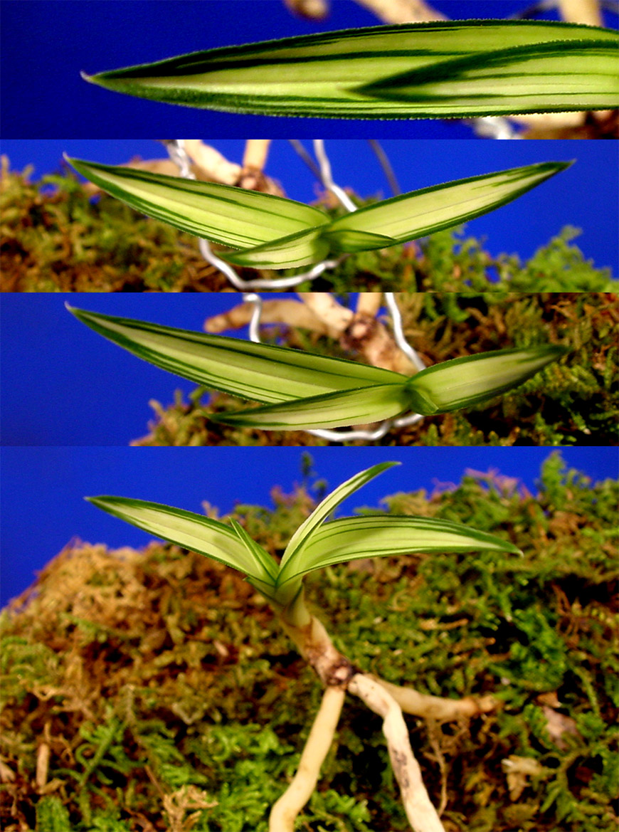 ������ ū������ �� �� �ֽ��ϴ�.