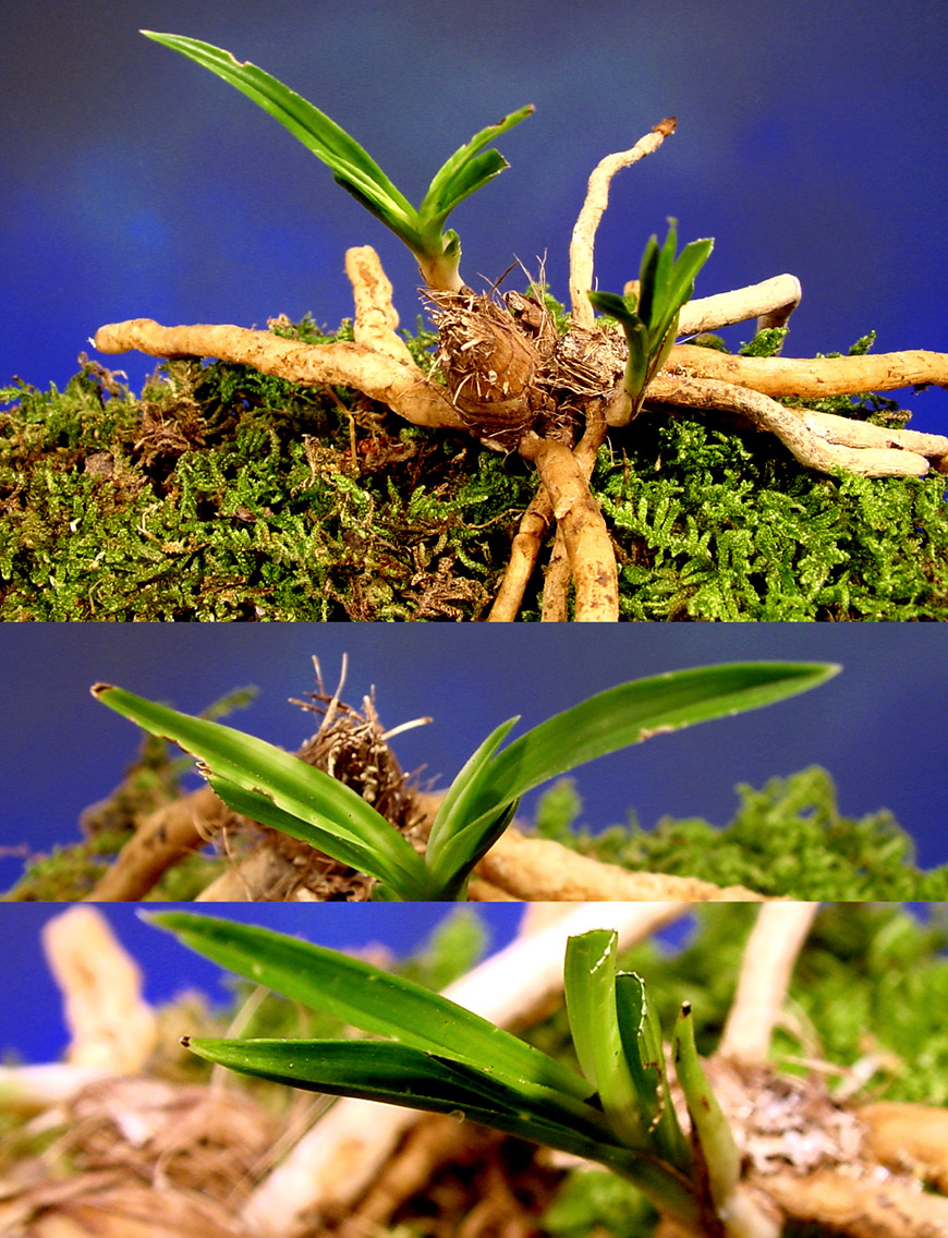 ������ ū������ �� �� �ֽ��ϴ�.