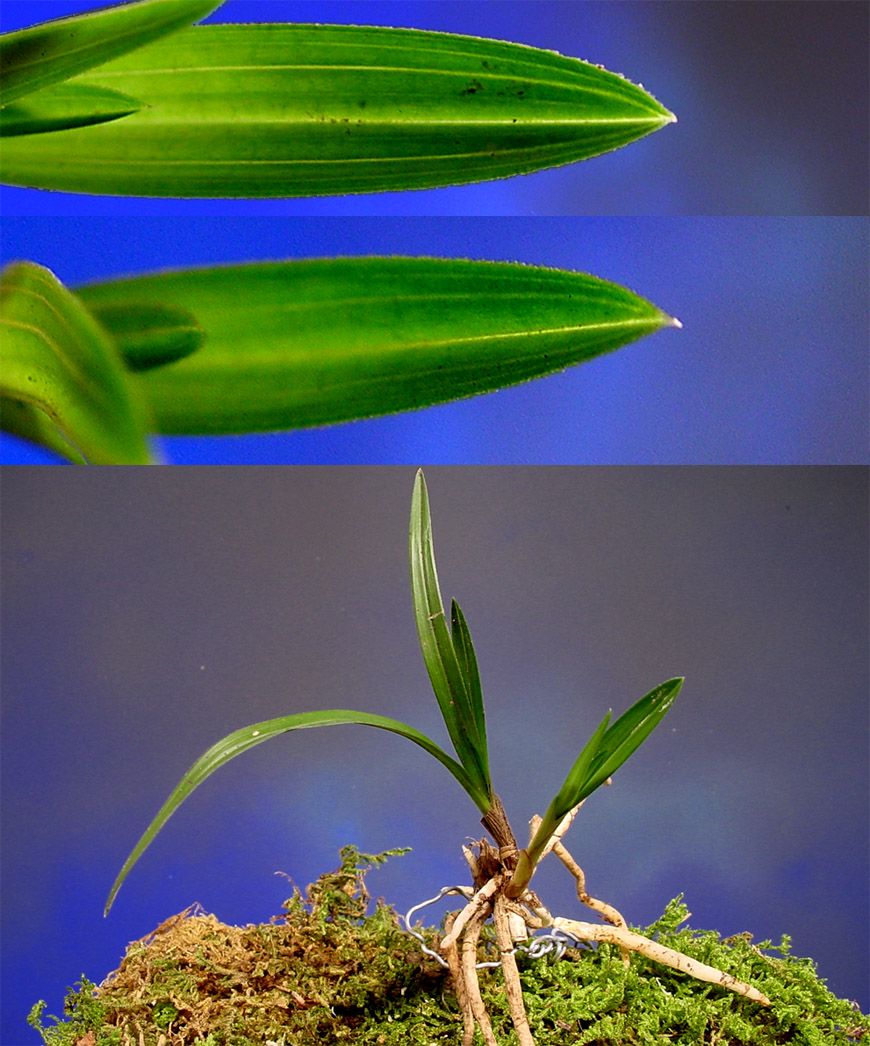 ������ ū������ �� �� �ֽ��ϴ�.