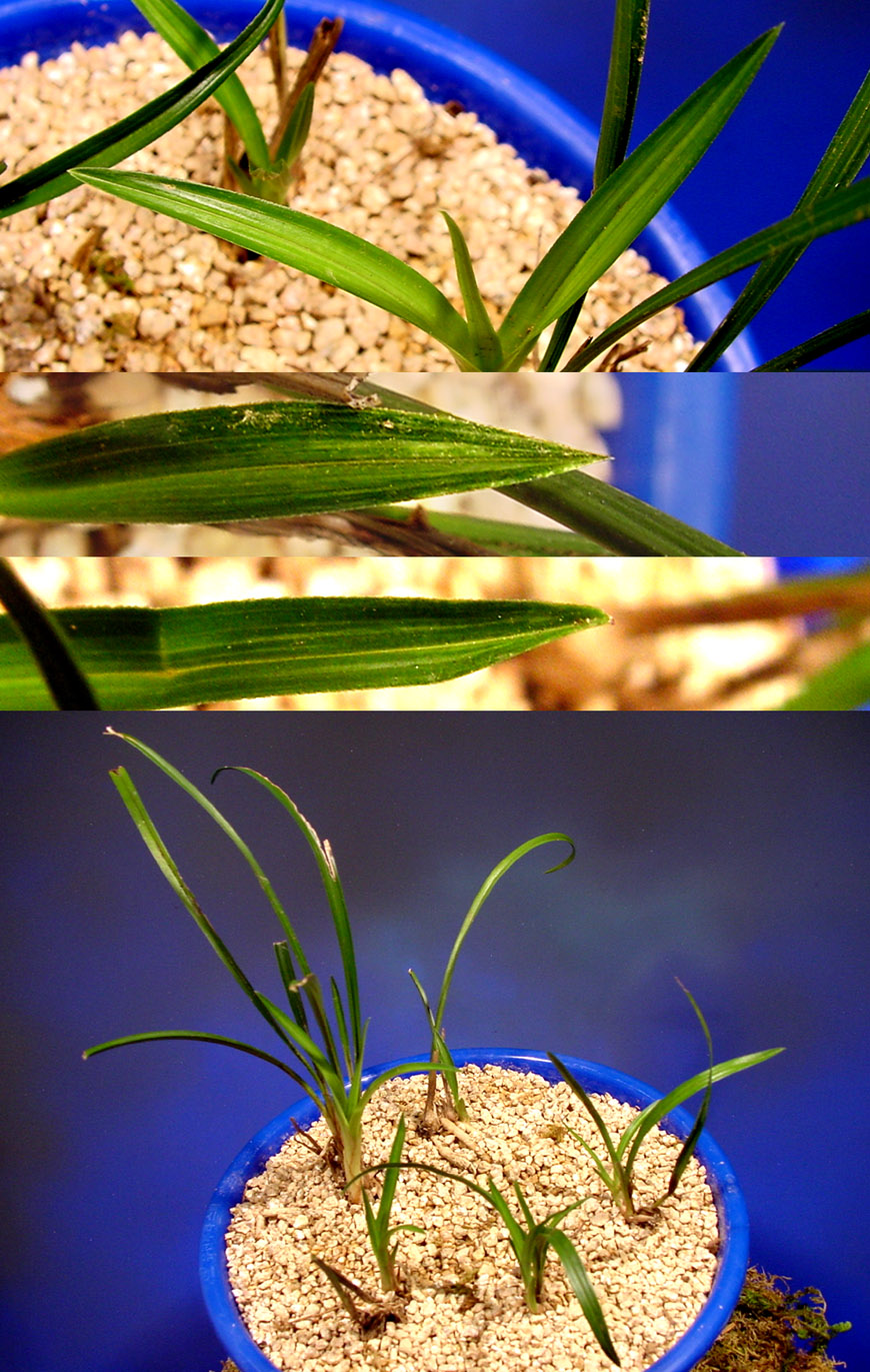 ������ ū������ �� �� �ֽ��ϴ�.