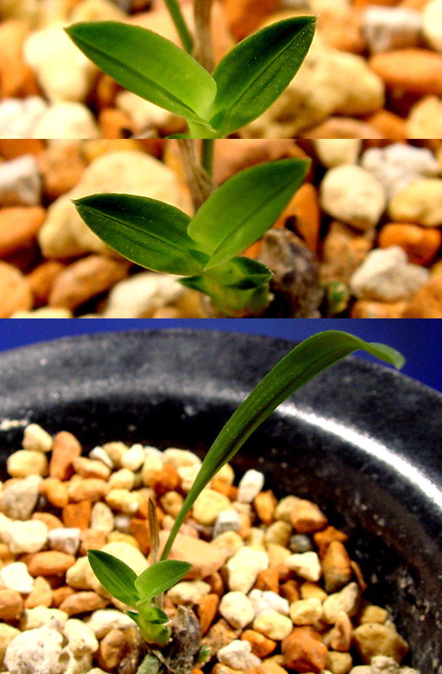 ������ ū������ �� �� �ֽ��ϴ�.