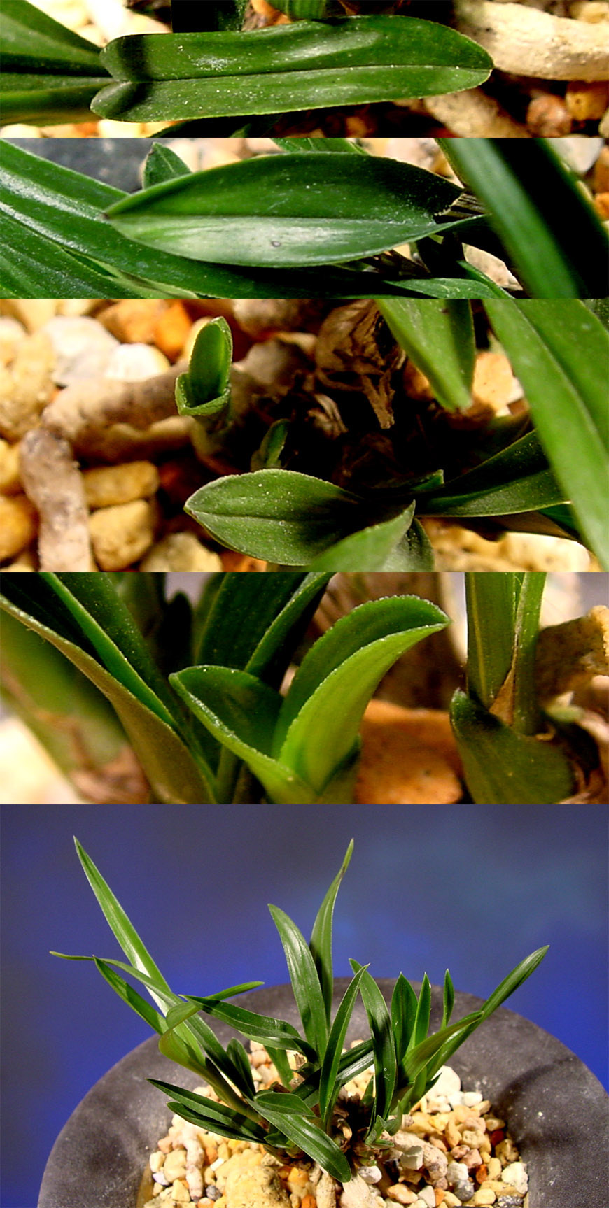 ������ ū������ �� �� �ֽ��ϴ�.