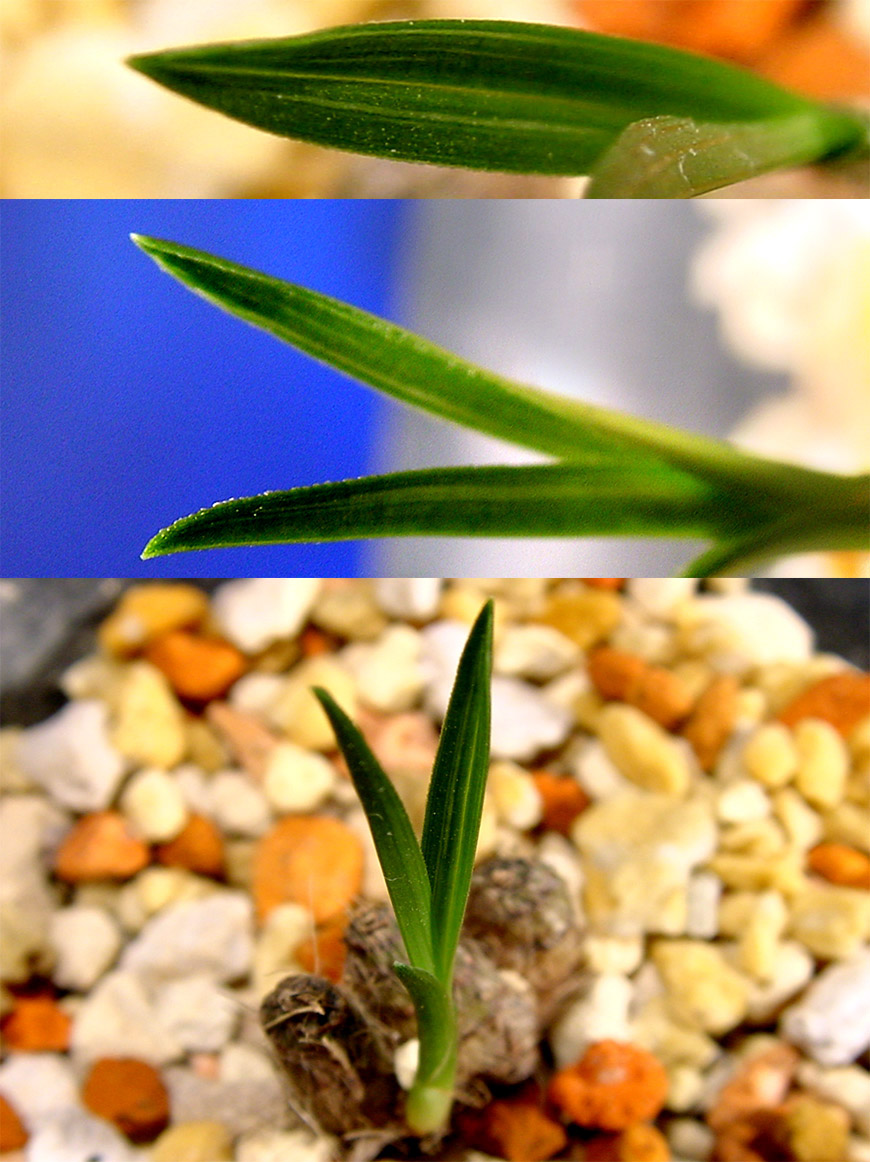 ������ ū������ �� �� �ֽ��ϴ�.