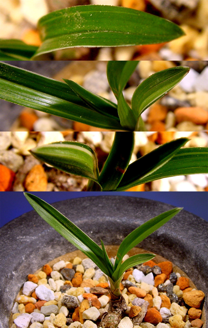 ������ ū������ �� �� �ֽ��ϴ�.