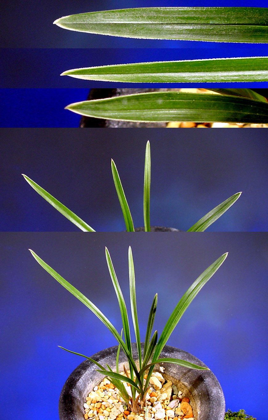 ������ ū������ �� �� �ֽ��ϴ�.