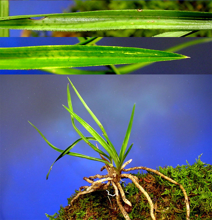 ������ ū������ �� �� �ֽ��ϴ�.