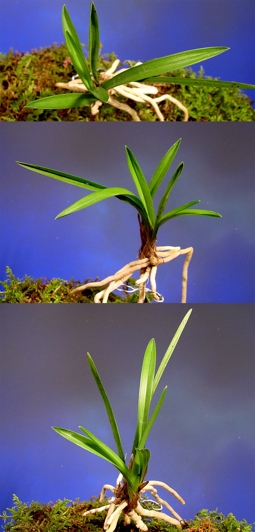 ������ ū������ �� �� �ֽ��ϴ�.