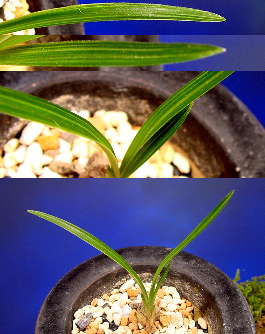 ������ ū������ �� �� �ֽ��ϴ�.