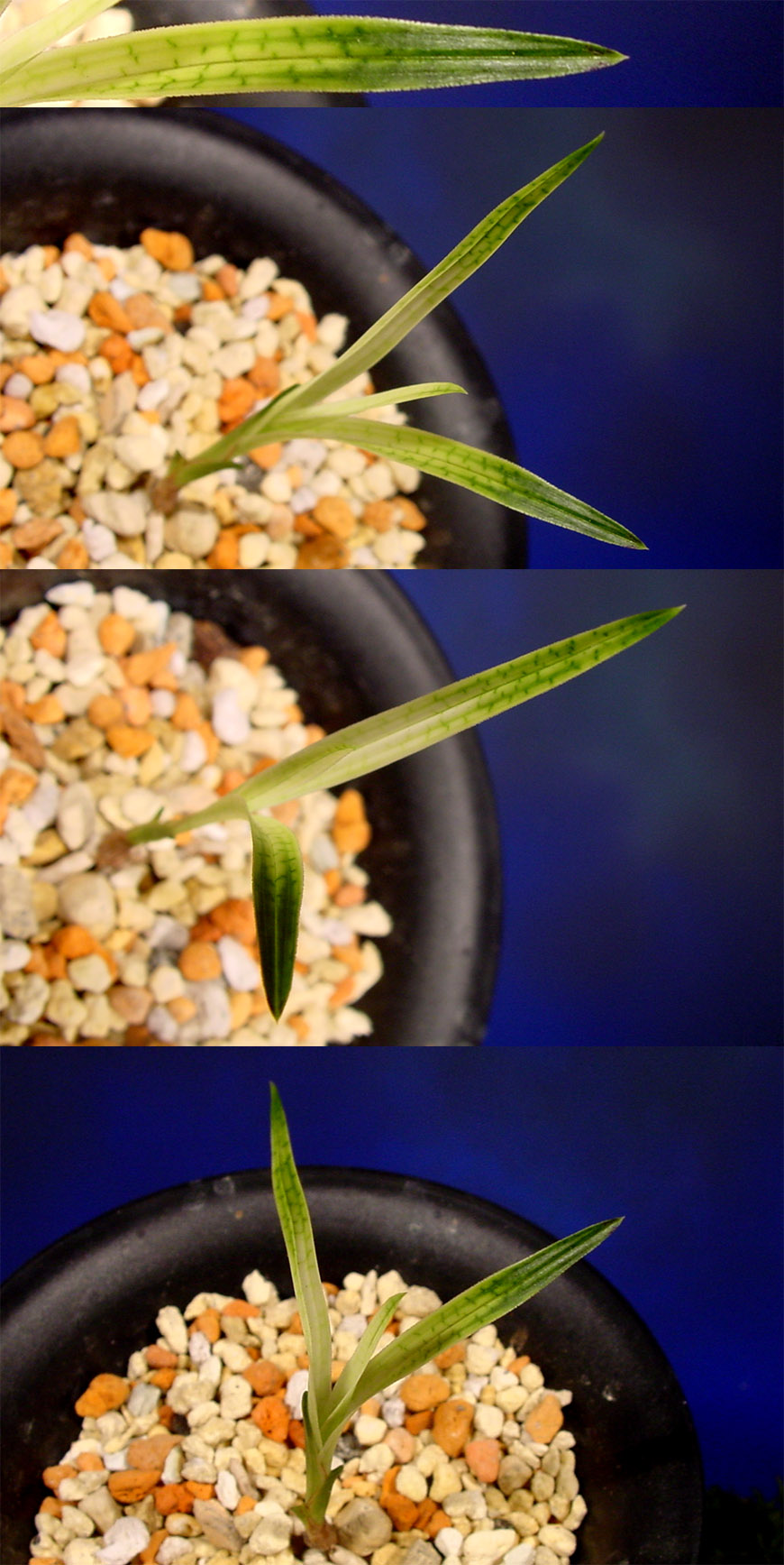 ������ ū������ �� �� �ֽ��ϴ�.