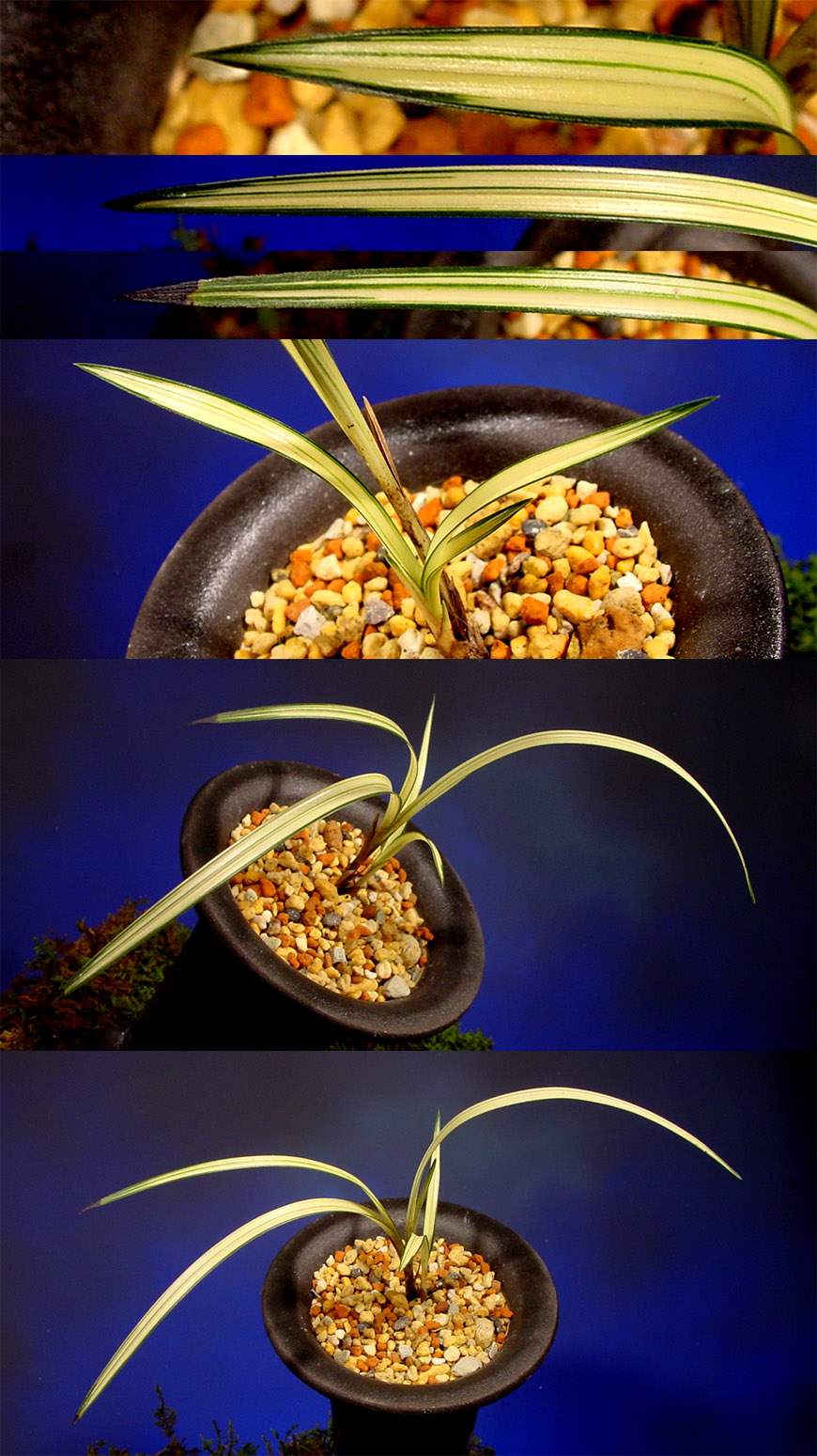 ������ ū������ �� �� �ֽ��ϴ�.