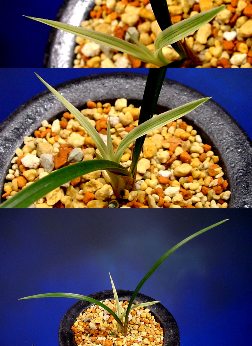 ������ ū������ �� �� �ֽ��ϴ�.