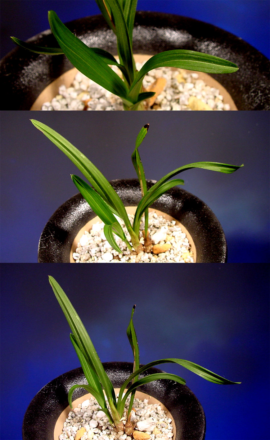 ������ ū������ �� �� �ֽ��ϴ�.