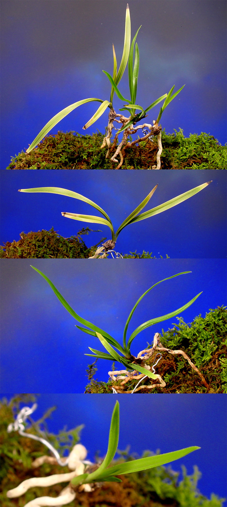 ������ ū������ �� �� �ֽ��ϴ�.