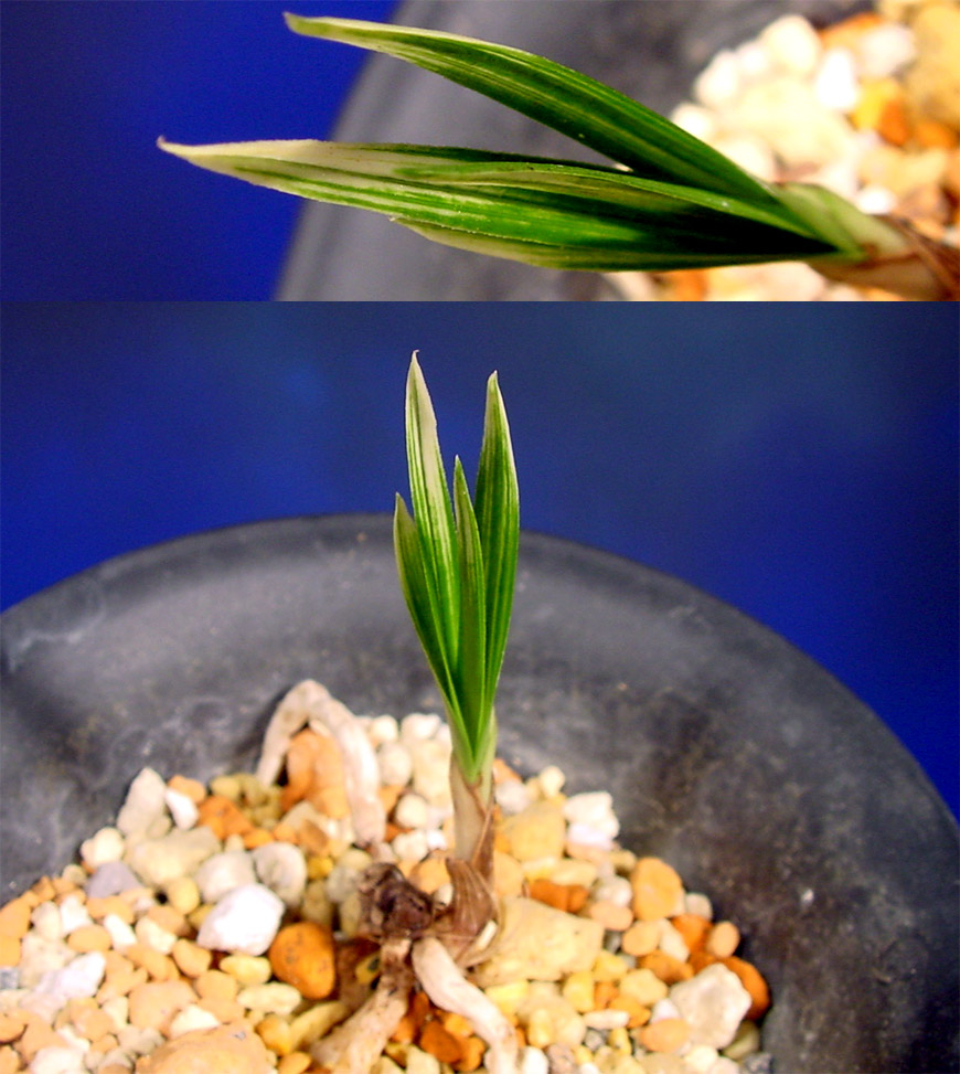 ������ ū������ �� �� �ֽ��ϴ�.