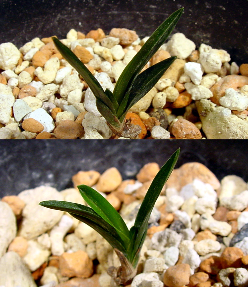 ������ ū������ �� �� �ֽ��ϴ�.