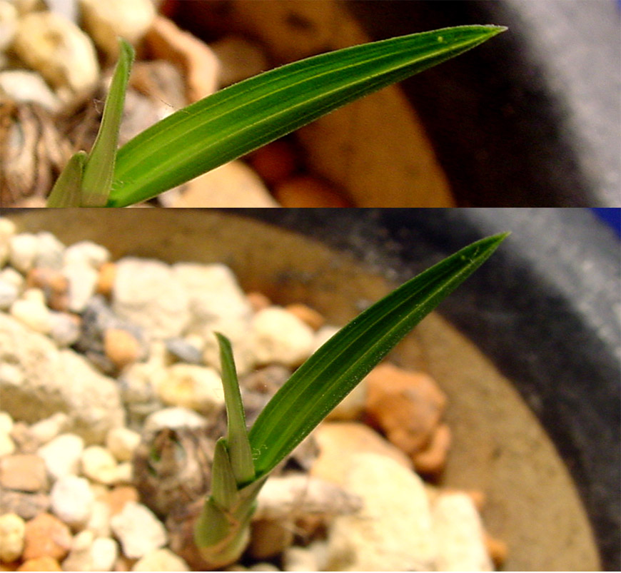 ������ ū������ �� �� �ֽ��ϴ�.